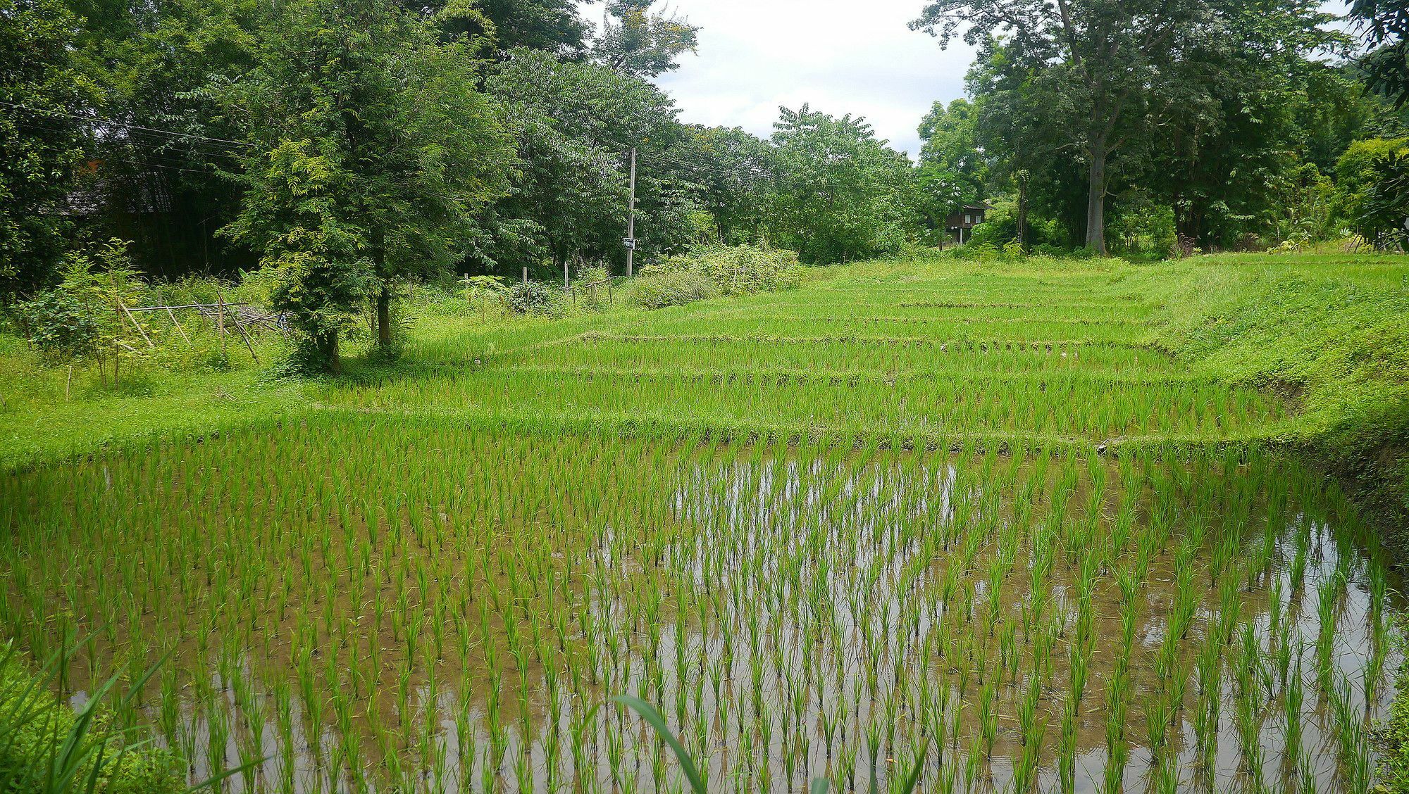 Pho Rak Nah Pai Exterior foto